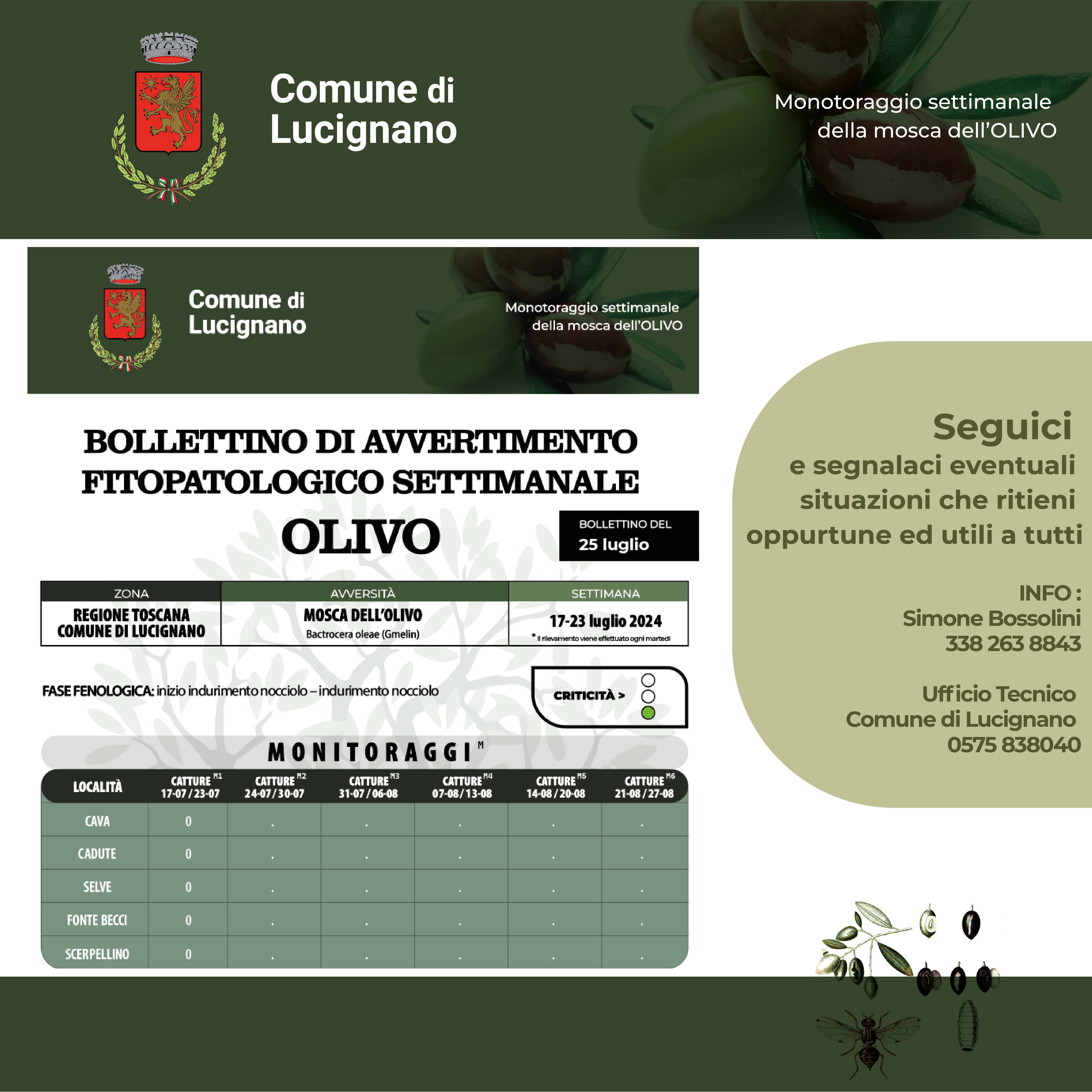 IMMAGINI MONITORAGGIO MOSCA OLEARIA