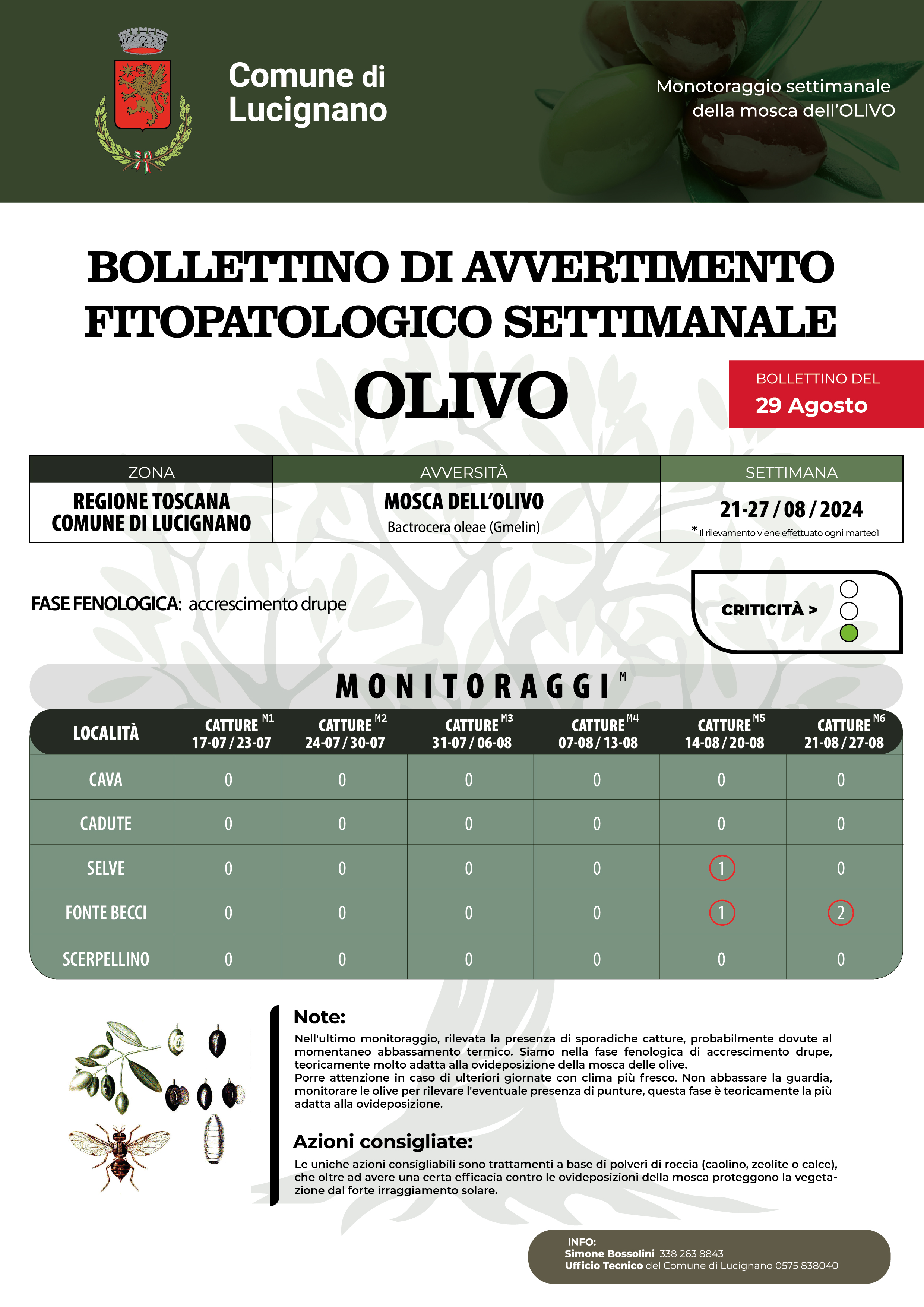 Bollettino mosca 29 agosto