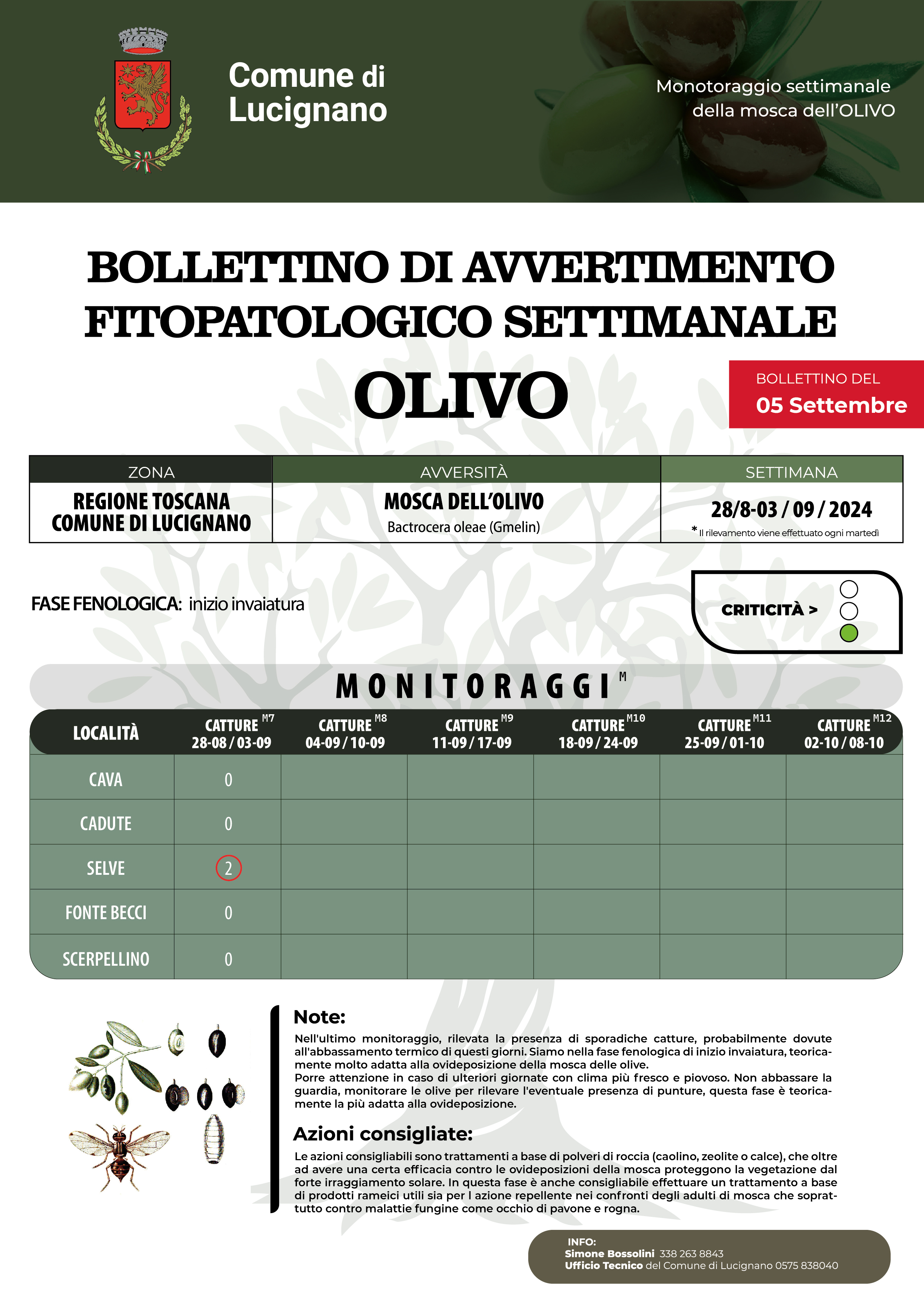 bollettino mosca olivo 5 settimana