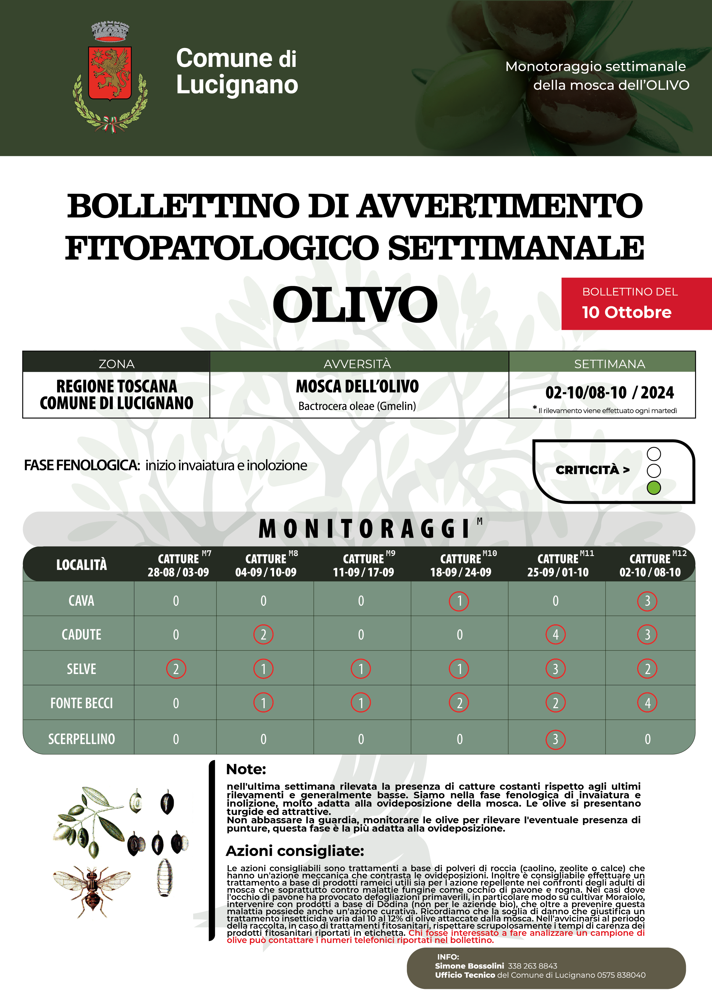 Bollettino mosca 10 ottobre