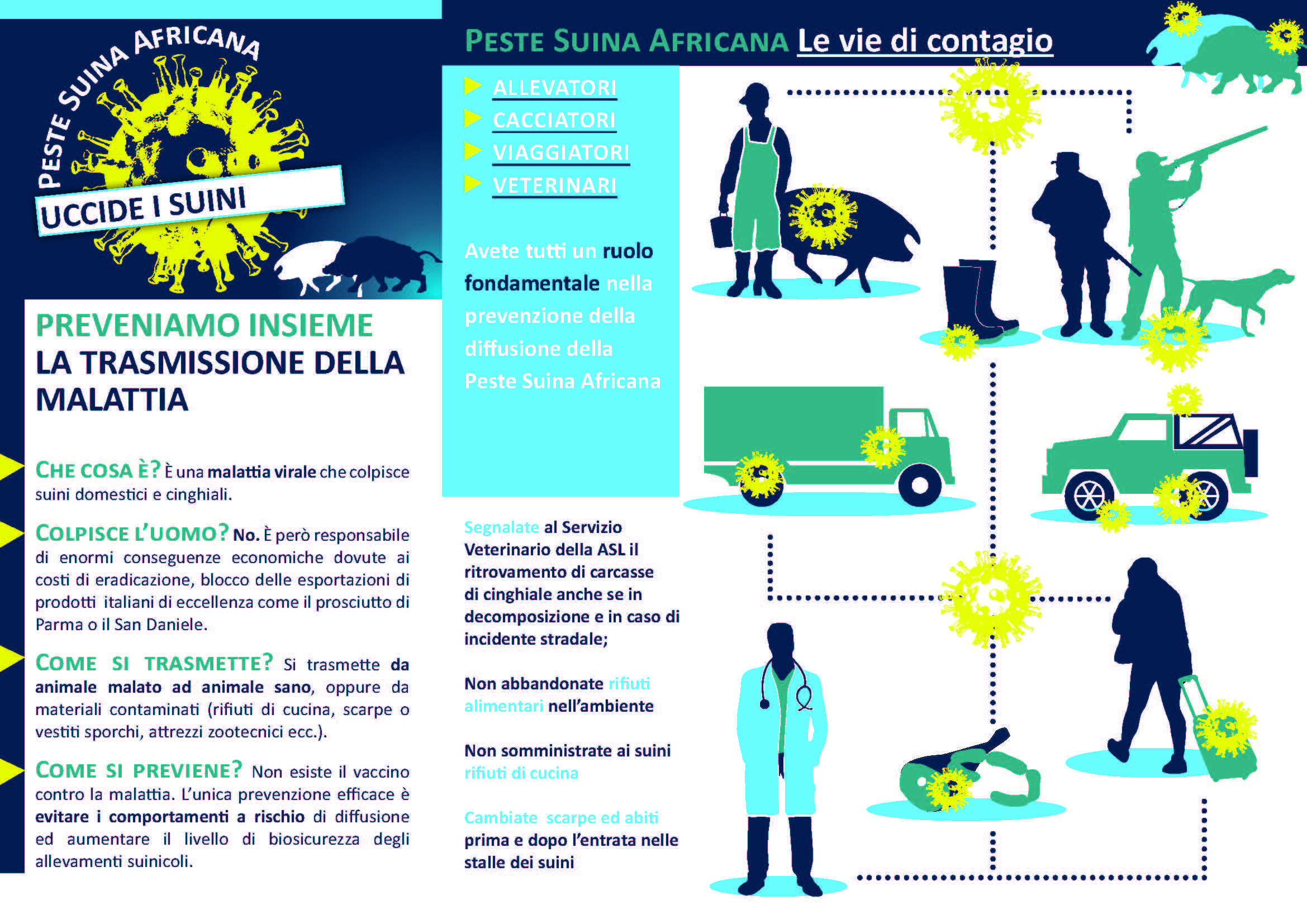 Peste Suina Africana. Informazioni