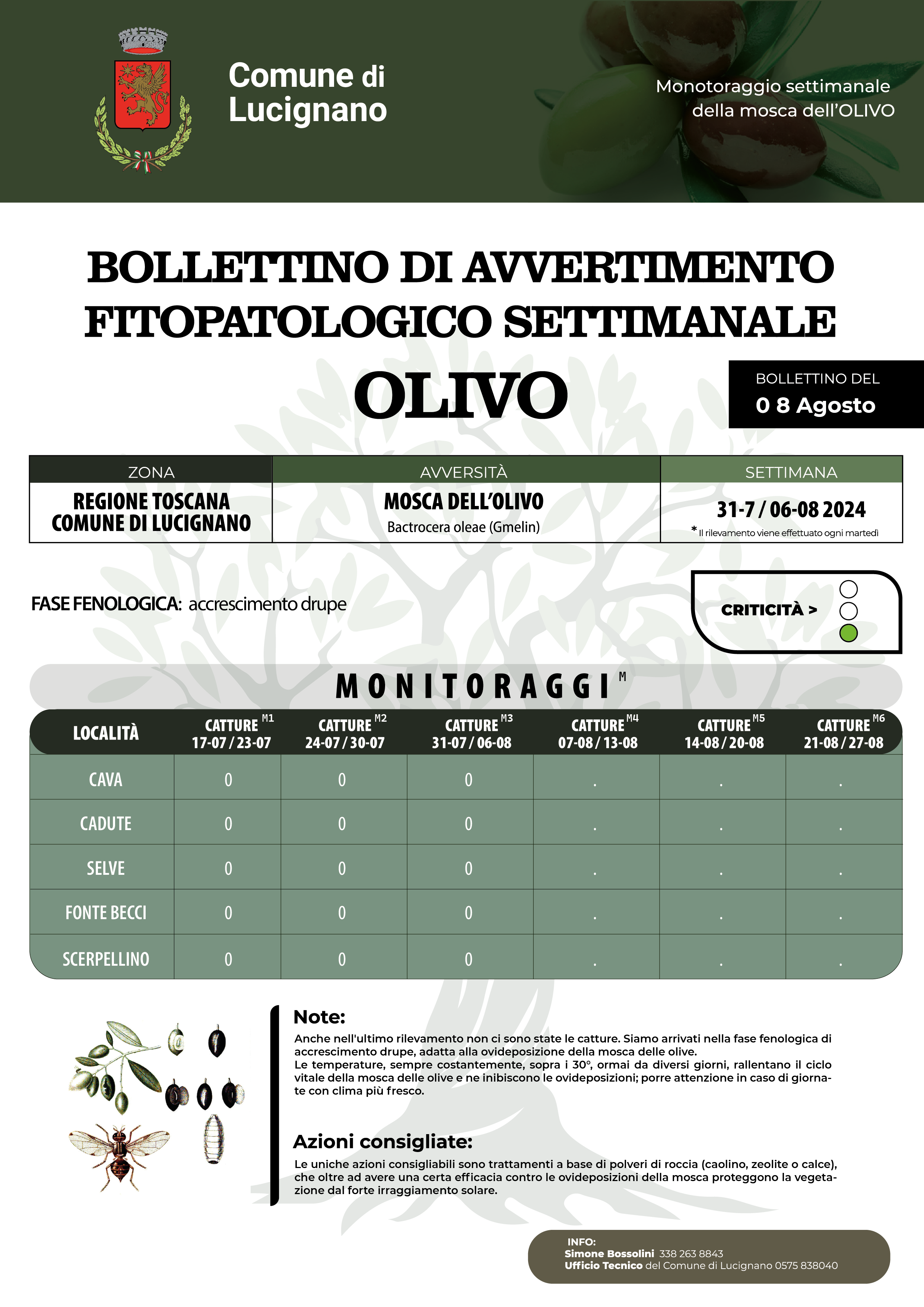 Bollettino mosca olearia 8 agosto
